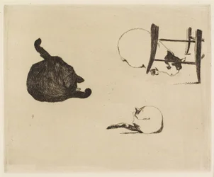 De katten, 1869