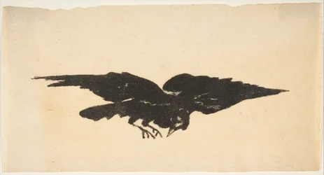De Vliegende Raaf, Ex Libris voor De Raaf door Edgar Allan Poe, 1875