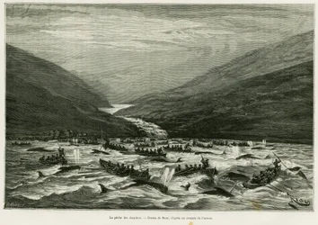 Dolfijnvissen. Gravure door Riou ter illustratie van het verhaal Een maand in de archipel van de Faeröer (Faroer, Feroe, Denemarken), door H.Labonne, in le tour du monde 1887, onder leiding van Edouard Charton (1807-1890), Hachette, Parijs.