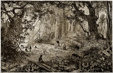 Installatie van een ontdekkingsreizigerskamp in Guatemala (1882)