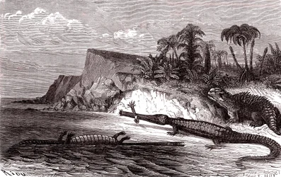 De Teleosaurus en de Hyleosaurus
