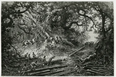De exploitatie van mahoniehout in de bossen van de Andes. Gravure door Riou, ter illustratie van het verhaal 