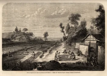 Scènes van landbouw in het oogstseizoen, in de provincie Pe-Tche-Li