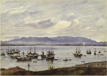 Panorama van Rio de Janeiro