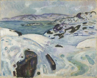 Winter op de fjord