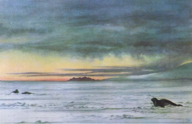 Kijkend naar het noorden in McMurdo Sound, uit British Adventure gepubliceerd door Collins, 1947