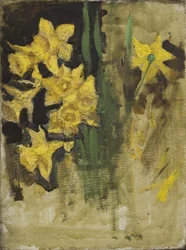 Narcissen