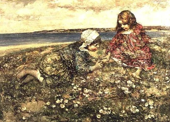 Primula