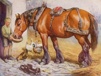 Jongen die een paard voedt op een boerenerf