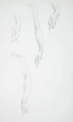 Studies van armen en handen (voorkant); Studie van een vrouwelijk torso (achterkant)