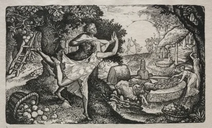 Het Ciderfeest: Een Visioen van Vreugde en Dankzegging