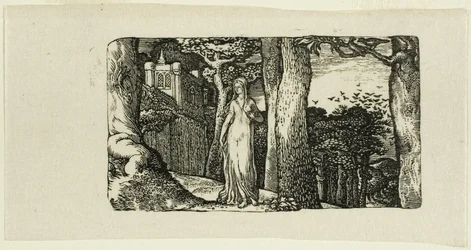 De dame en de roeken