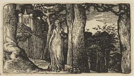 De dame met de roeken
