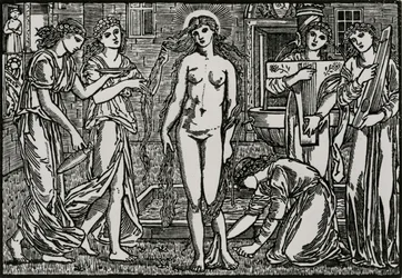 Het hof van Venus