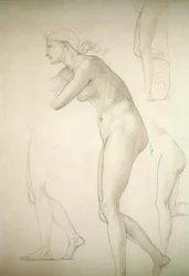 Galatea (potlood op papier)