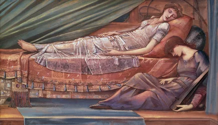 De slapende prinses