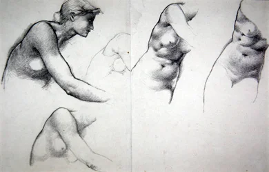 De boom van vergeving - Studie voor de figuur van Phyllis
