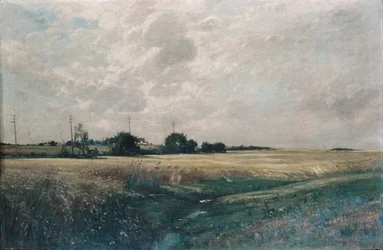 Brede akkers