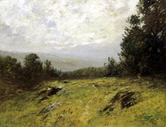 Heuvel