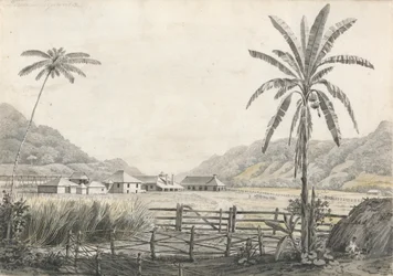 Een Uitzicht op Hall-head Suikerplantage, Jamaica