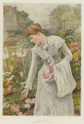 Potpourri