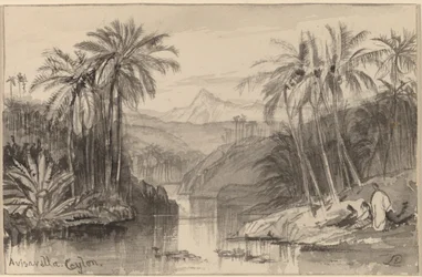 Avisavella, Ceylon, 1884-1885
