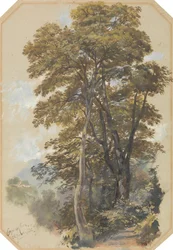 Corpo di Cava, 28 juni 1838