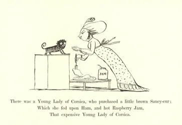 Er was een jonge dame van Corsica, die een kleine bruine Saucy-cur kocht