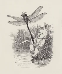 Illustratie voor The Water-Babies door Charles Kingsley