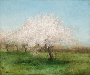 Appelbomen in een weide 1890