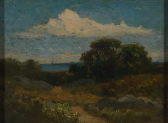 Landschap (bomen en rotsen bij het meer)