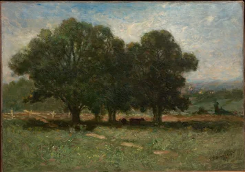 Landschap