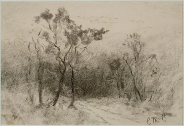 Landschap met pad (#51), c. 1880s