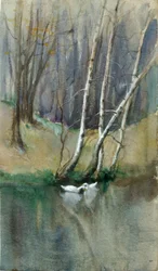 Ongetiteld boslandschap met berkenbomen en eenden, n.d.