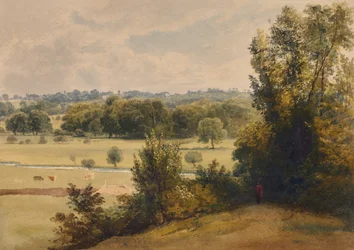 Landschap met bomen en velden