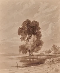 Landschap met bomen