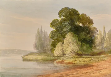 Landschap met bomen