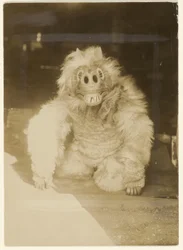 In het wolvenmasker