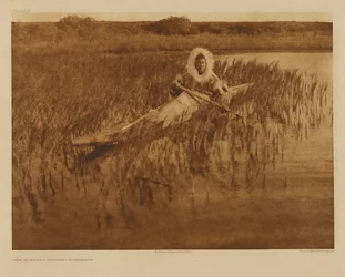 De muskusrattenjager - Kotzebue