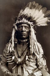 Weasel Tail (Apohsuyis). Portret van een indianenopperhoofd van de Piegan-stam, die de beroemde hoofdtooi van adelaarsveren en wezelbont, een suède tuniek, twee halskettingen, één van been en de andere van grizzlyklauwen, en een tomahawkpijp draagt