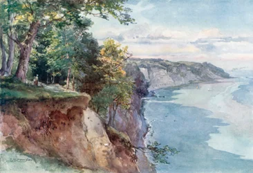 Stubnitzwald - Eiland Rugen (kleurenlitho)