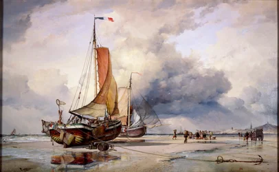 Nederlandse Pincks in Scheveningen, Nederland