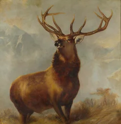 Monarch van de Glen