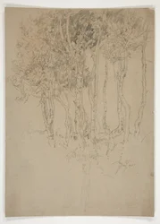 Schets van een boomgroep