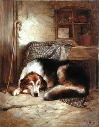 Belastingvrijstelling voor verrichte plicht