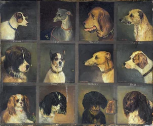 Twaalf Favoriete Honden, 1883