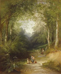 Een Pad door het Bos