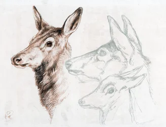 Facsimile van een tekening door Sir E Landseer, 1874