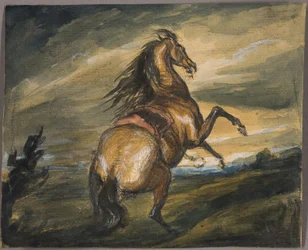 Steigerend paard