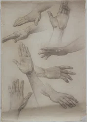 Studies van Handen